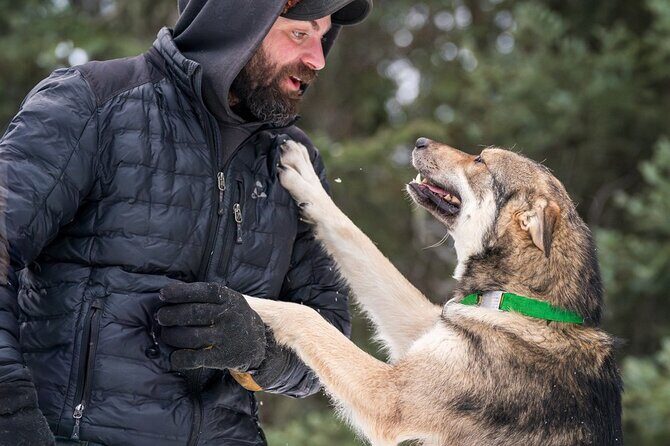 Sledding and Homesteading Adventure - Greg and Kristen run the show: hands-on, friendly, and built for real questions