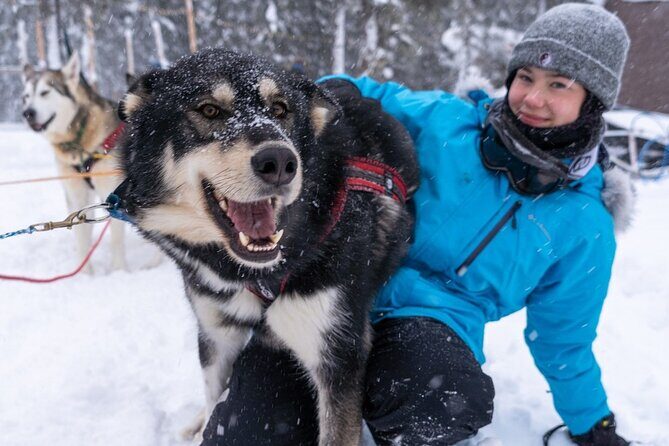 Sledding and Homesteading Adventure - Price and value: why $95 can feel fair for 1.5 hours