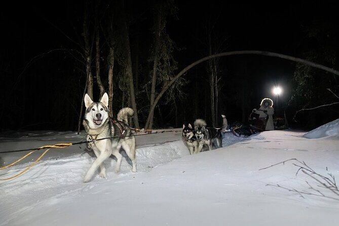Sledding and Homesteading Adventure - Who can join: weight limits, boot sizes, and sled comfort