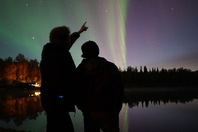 Spectacular Chena Hot Springs Northern Lights Experience - Price and value check for a $225 aurora-and-hot-springs night