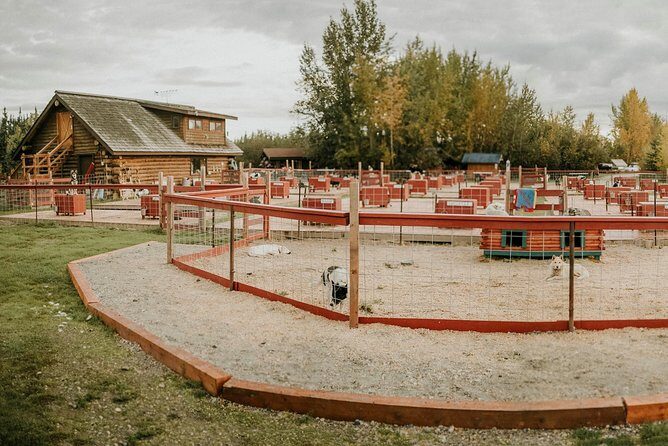 Summer Kennel Visit at Historic Trail Breaker Kennel - Key Highlights You’ll Care About