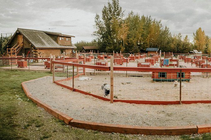 Summer Kennel Visit at Historic Trail Breaker Kennel - Meet the Dogs Up Close: Athletes and Puppies