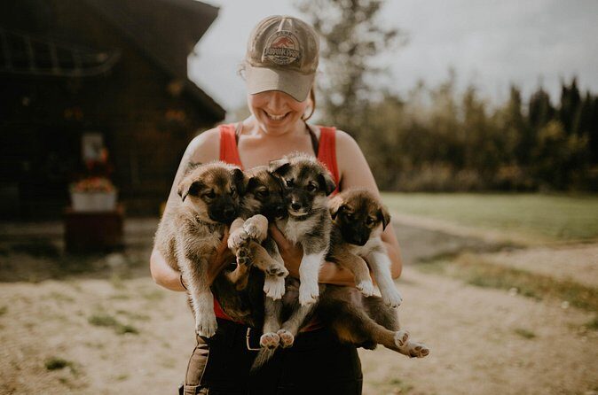 Summer Kennel Visit at Historic Trail Breaker Kennel - Weather and Day-of Reality (Plan Smart)