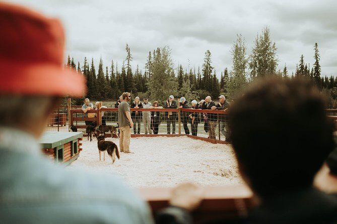 Summer Kennel Visit at Historic Trail Breaker Kennel - Your One-Hour Itinerary at Trail Breaker Kennel