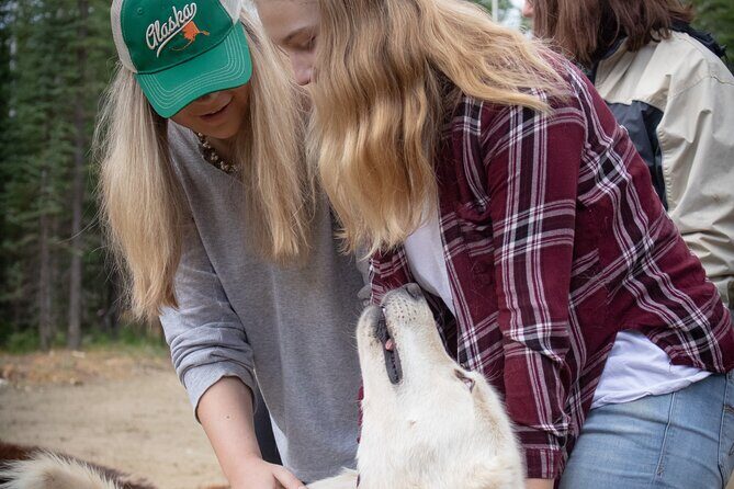 Summer Mushing Cart Ride & Kennel Tour - Price and Value: Why $135 Can Feel Fair for This Format