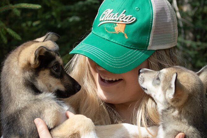 Summer Mushing Cart Ride & Kennel Tour - The Presentation on Huskies and Mushing History (Yes, It’s Useful)