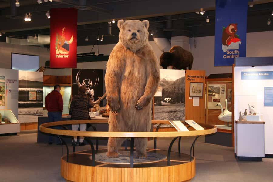 The Best of Fairbanks: Half-Day City Highlights Tour - Key Highlights You’ll Actually Use