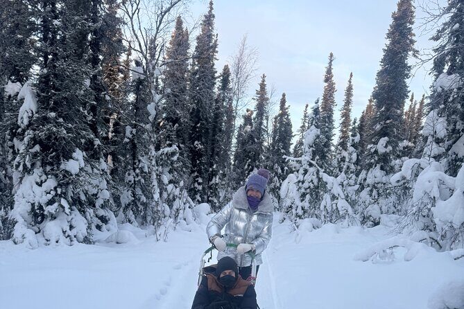 Winter Dog Sledding in Fairbanks - The first stretch: learning on the tag sled while the guide steers the team