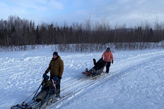 Winter Dog Sledding in Fairbanks - Downhill control: braking, leaning, and doing it the safe way