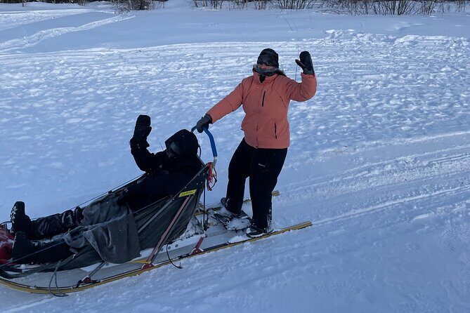 Winter Dog Sledding in Fairbanks - The cozy yurt finish: coffee, cookies, and a warm reset